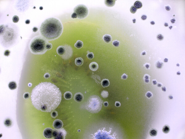 Indoor Air Quality